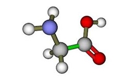 氨基酸