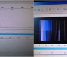 测序仪STR分型